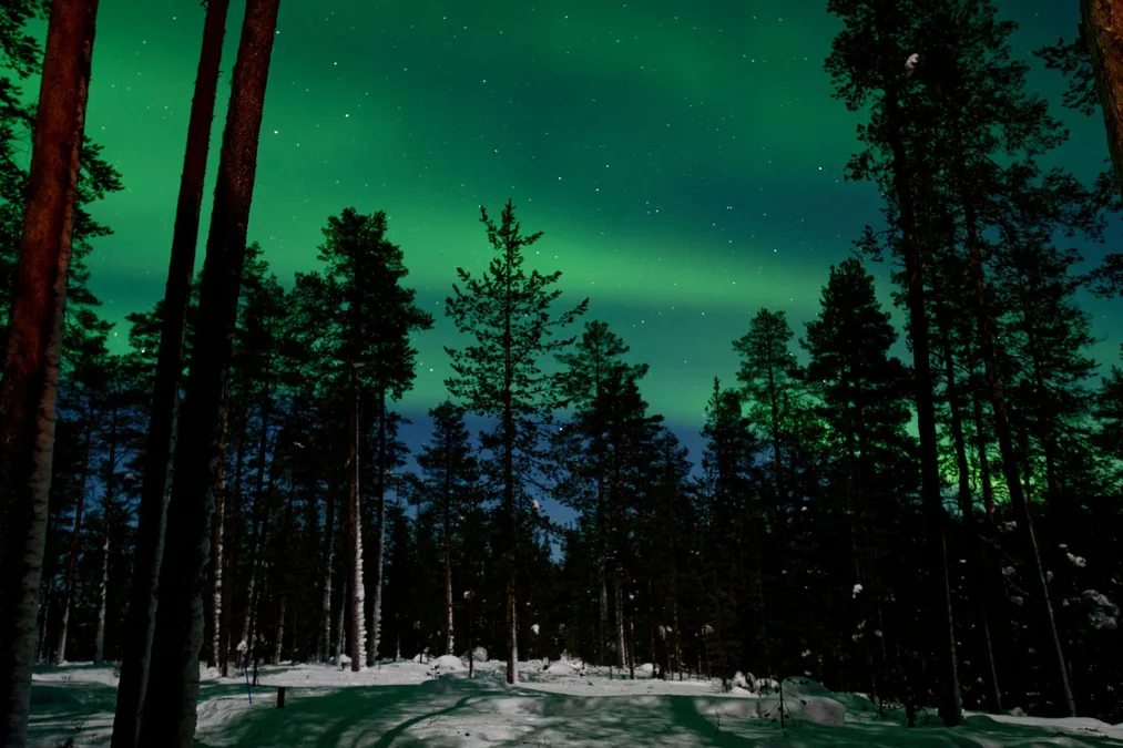 Northern lights Lapland Finland aurora winter night photography