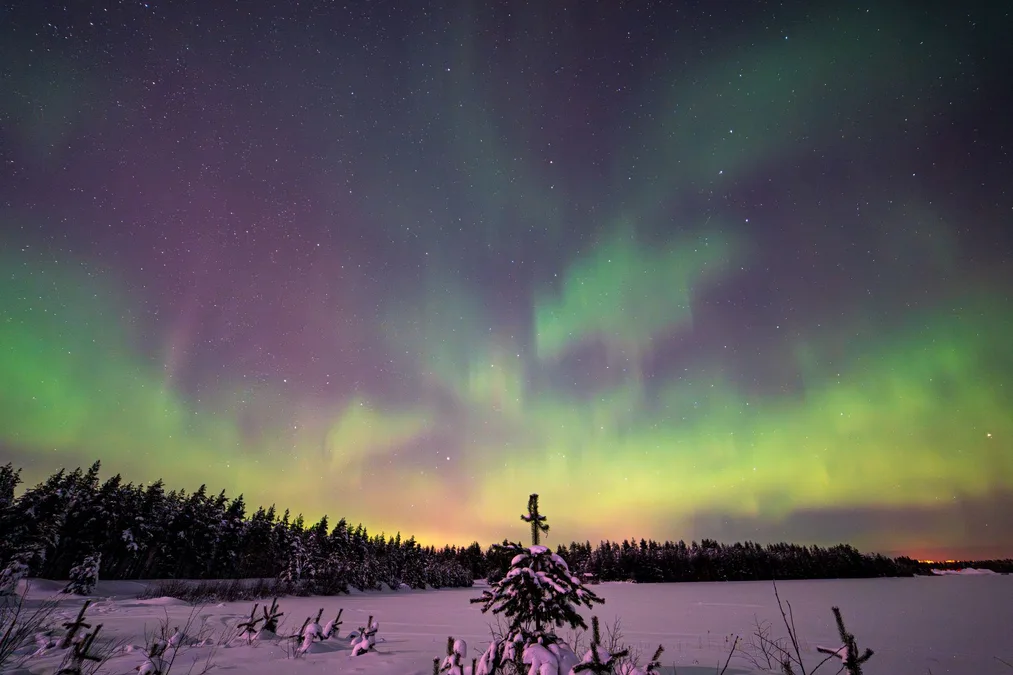 Northern lights aurora Lapland Finland winter night landscape